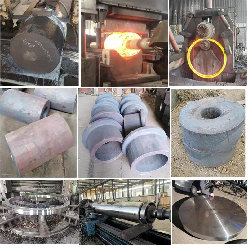 Stainless Steel Ring Forgings Loose Flange Backing Rings China